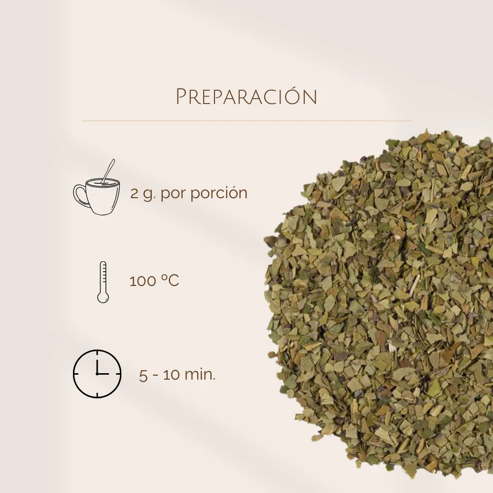 Mate Verde Argentino BIO - Imagen 4