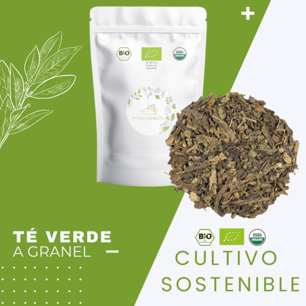 Té Menta Verde BIO - Imagen 7