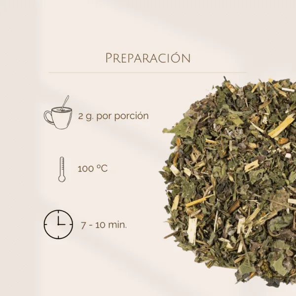 Infusión Detox BIO - Imagen 4