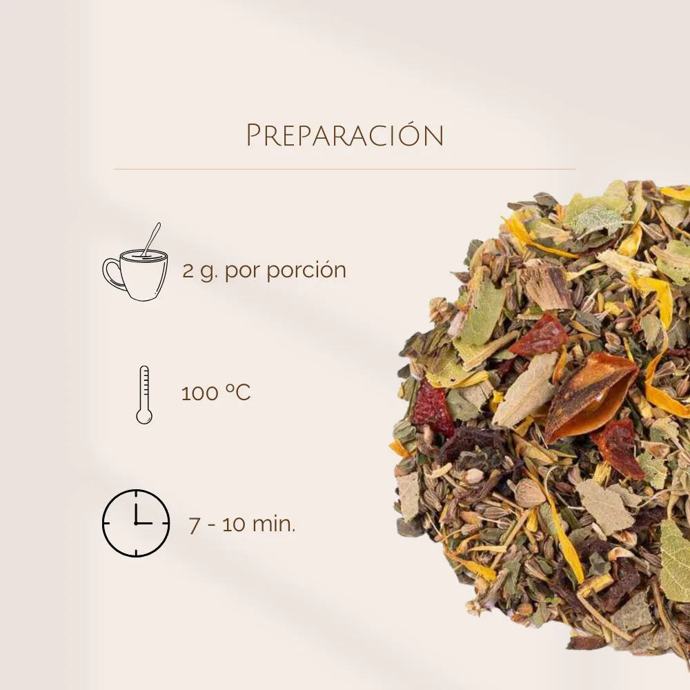 Tisana de Anís y Menta BIO - Imagen 4