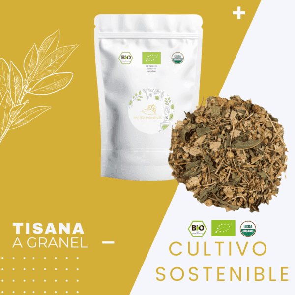 Tisana de Tila y Menta BIO - Imagen 7