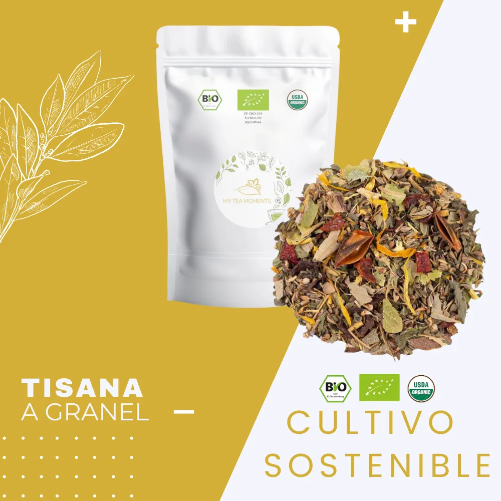 Tisana de Anís y Menta BIO - Imagen 7