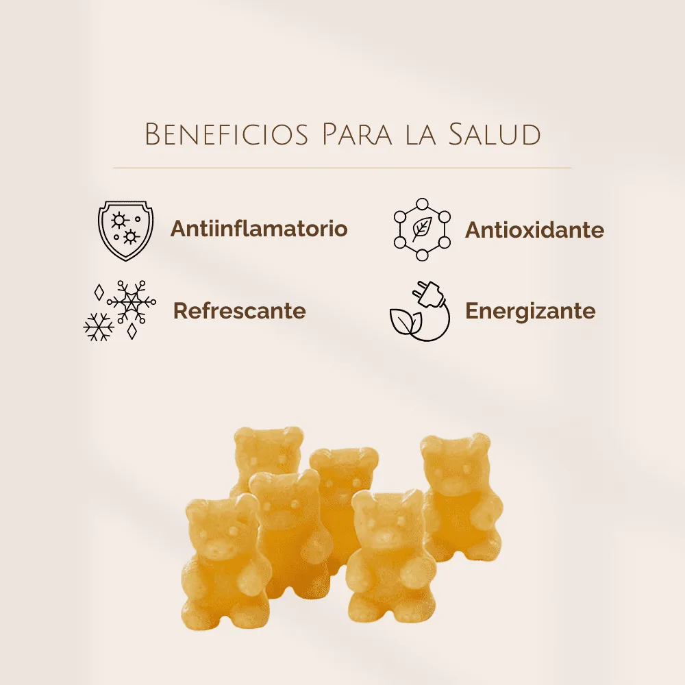 Ositos de Jengibre y Limón - Gominola o Té Soluble - Imagen 4