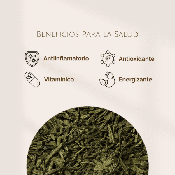 Té Verde China Sencha BIO - Imagen 4